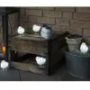 Konstsmide, guirlandes lumineuses de Noël 5 Oiseaux Lumineux A Led Sale