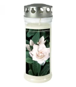 Ewa Kerzen, bougies de Noël et bougies de l'Avent Bougie Funeraire Gardenia, 21,5 Cm Online