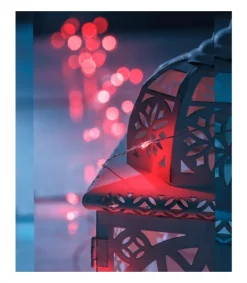 Konstsmide, guirlandes lumineuses de Noël Guirlande Lumineuse Avec Changement De Couleur, 50 Diodes Led Best