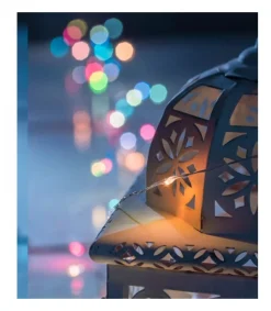 Konstsmide, guirlandes lumineuses de Noël Guirlande Lumineuse Avec Changement De Couleur, 50 Diodes Led Best