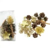 Riffelmacher et Weinberger Pot Pourri Melange Pomme De Pin, Cannelle, Mousse, Déco, 100 G Best