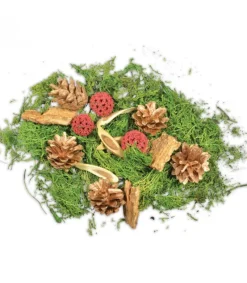 Riffelmacher et Weinberger Pot Pourri Melange Pomme De Pin, Mousse, Foret, 80 G Online